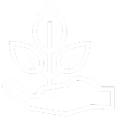 Secreto Herbal Ingredientes Naturales